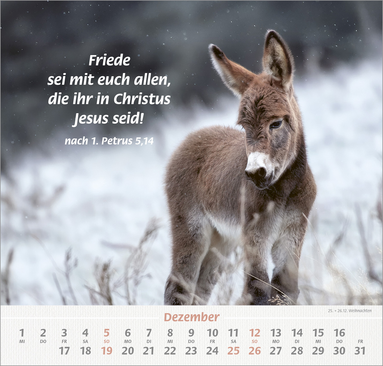 Ich hab dich gern 2027 – Wandkalender