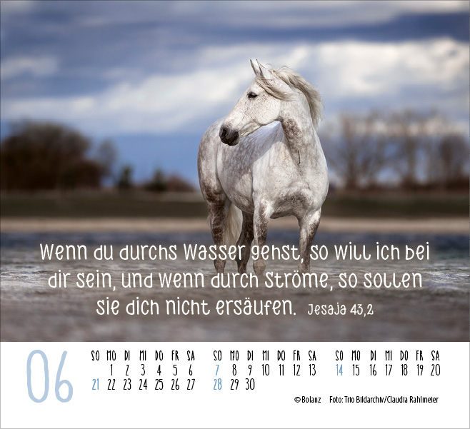 Pferde - elegante Schönheiten - Minikalender 2026 Pferde - elegante Schönheiten - Minikalender 2026