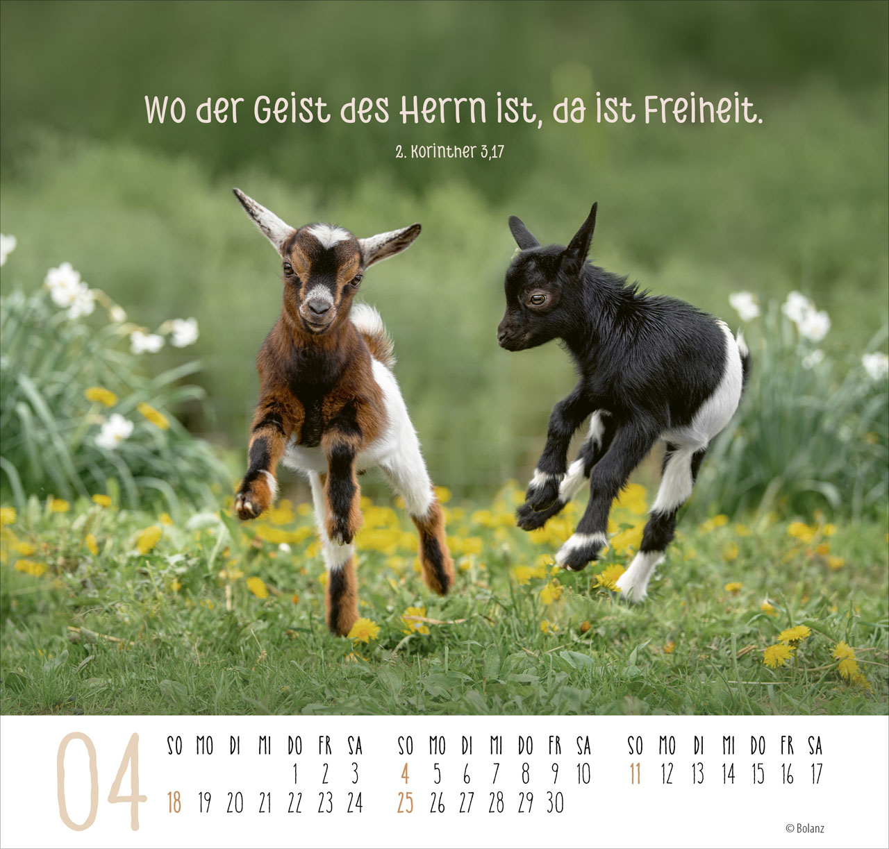 Beste Freunde – Ich mag dich 2027 – Posterkalender