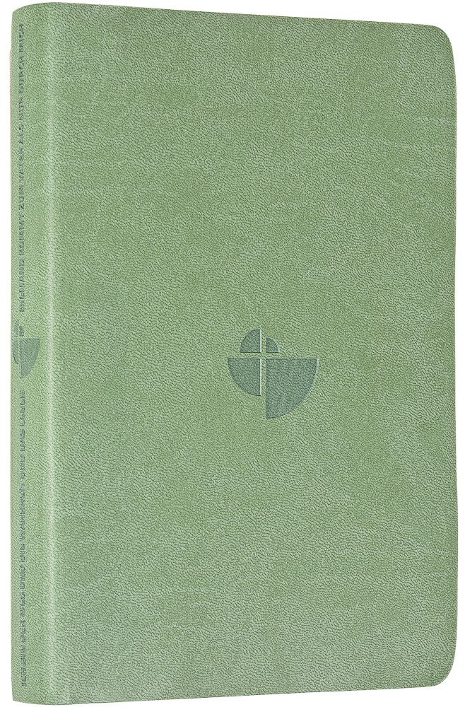 Schlachter 2000 Bibel - Taschenausgabe, oliv, grauer Farbschnitt