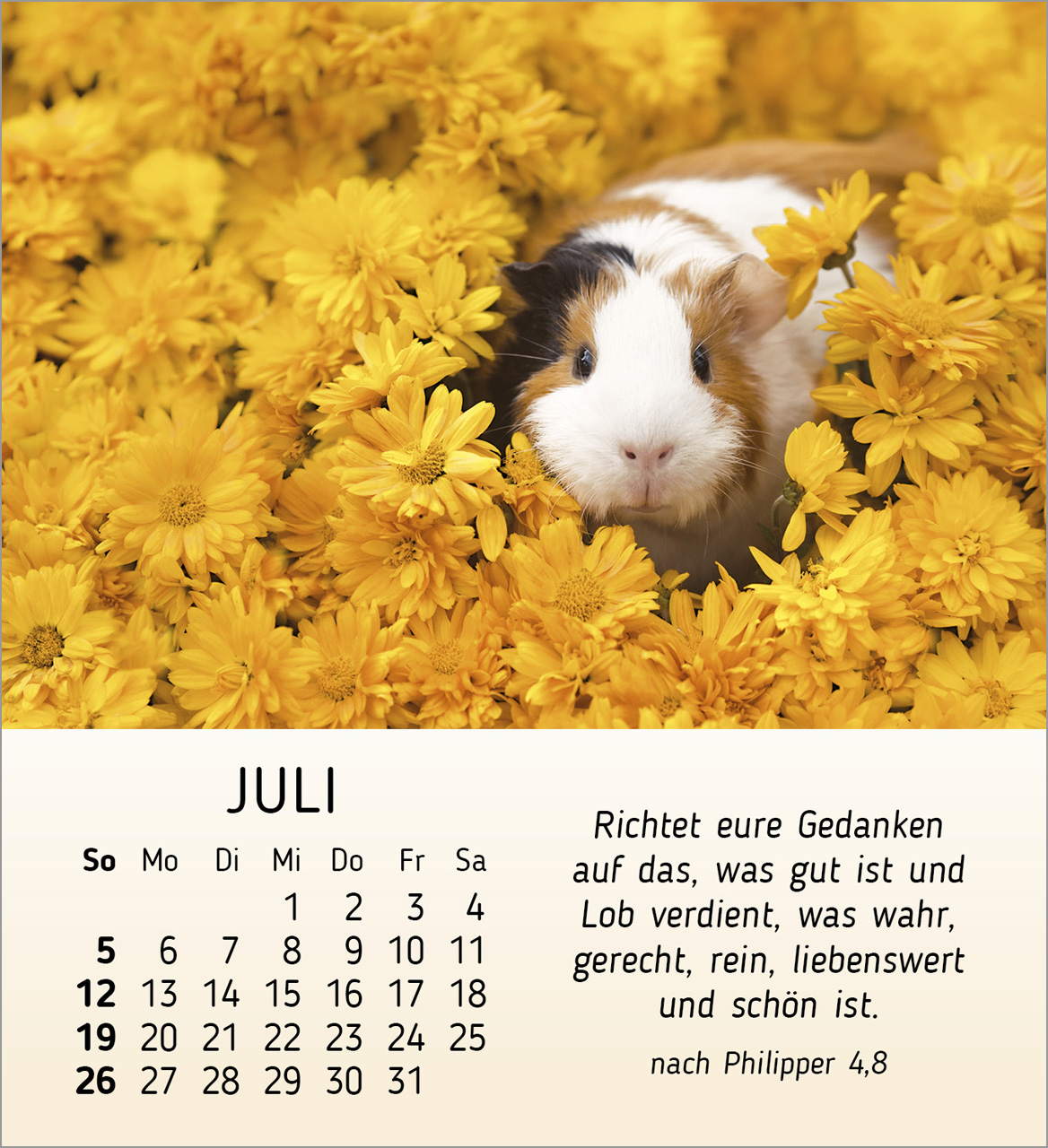 Meine kleinen Freunde 2026 - Tischkalender Meine kleinen Freunde 2026 - Tischkalender