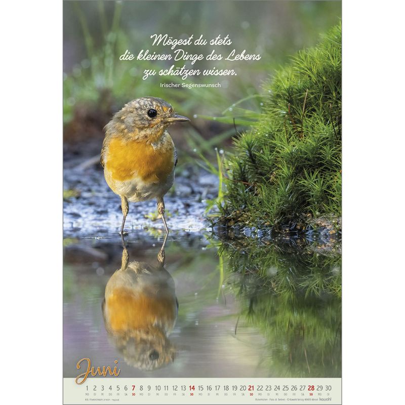 Beflügelt und getragen 2026