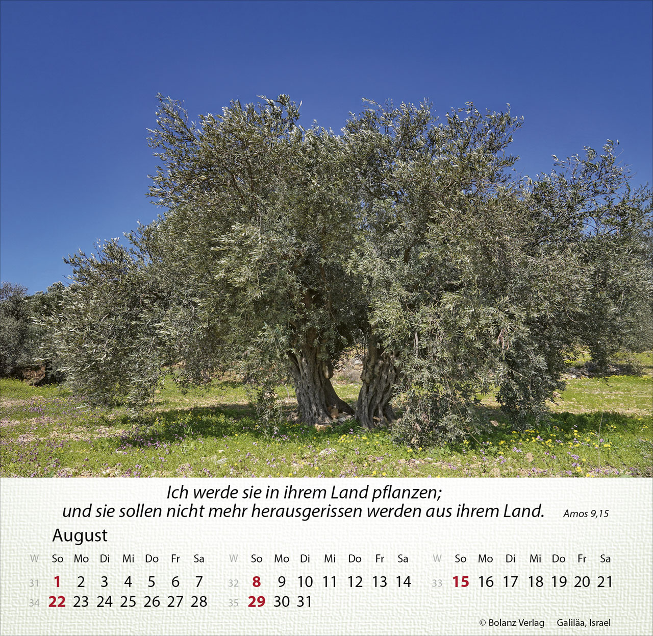 Israel Shalom 2027 – Tischkalender
