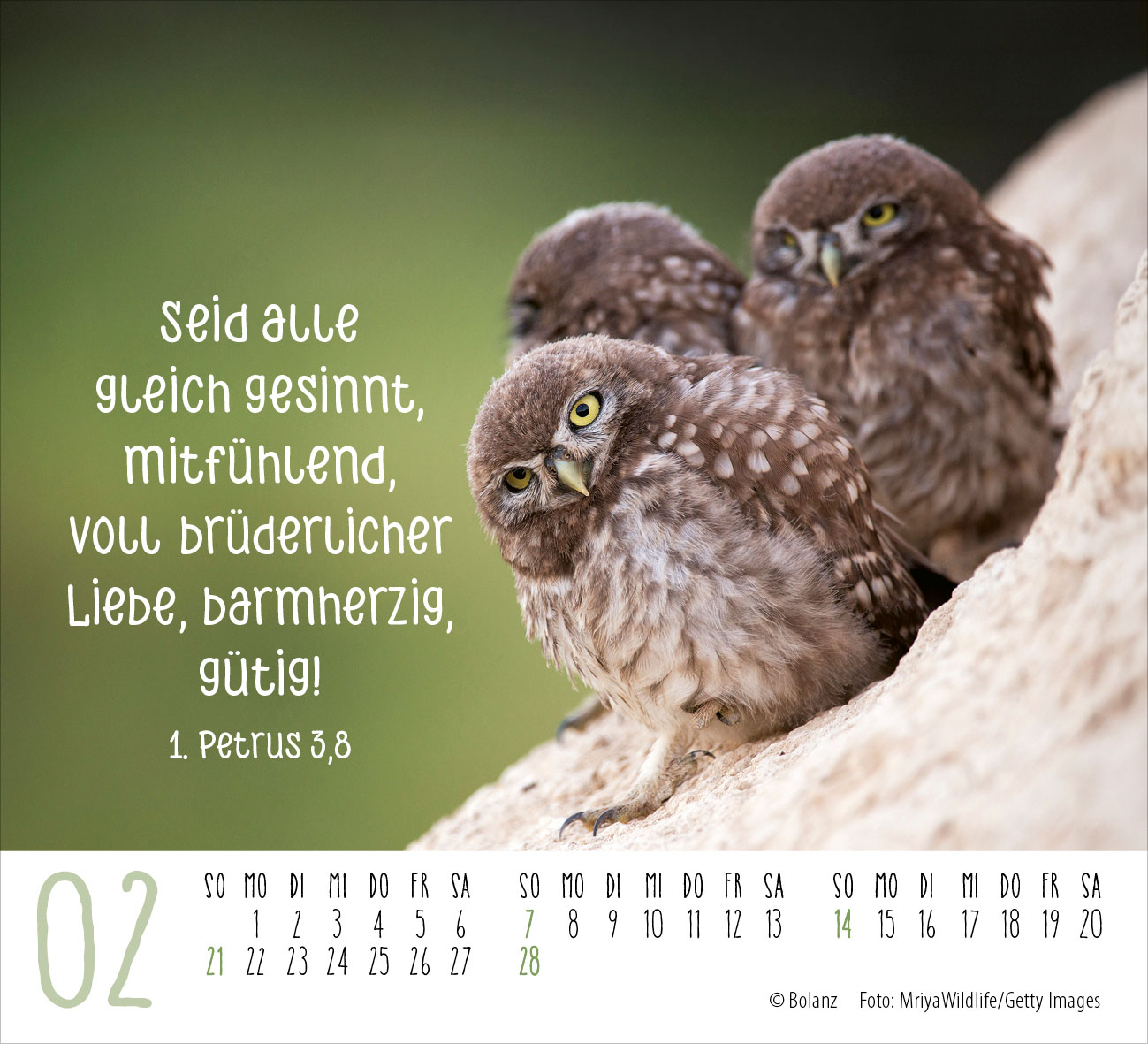 Begegnungen – dich vergess ich nie 2027 – Minikalender