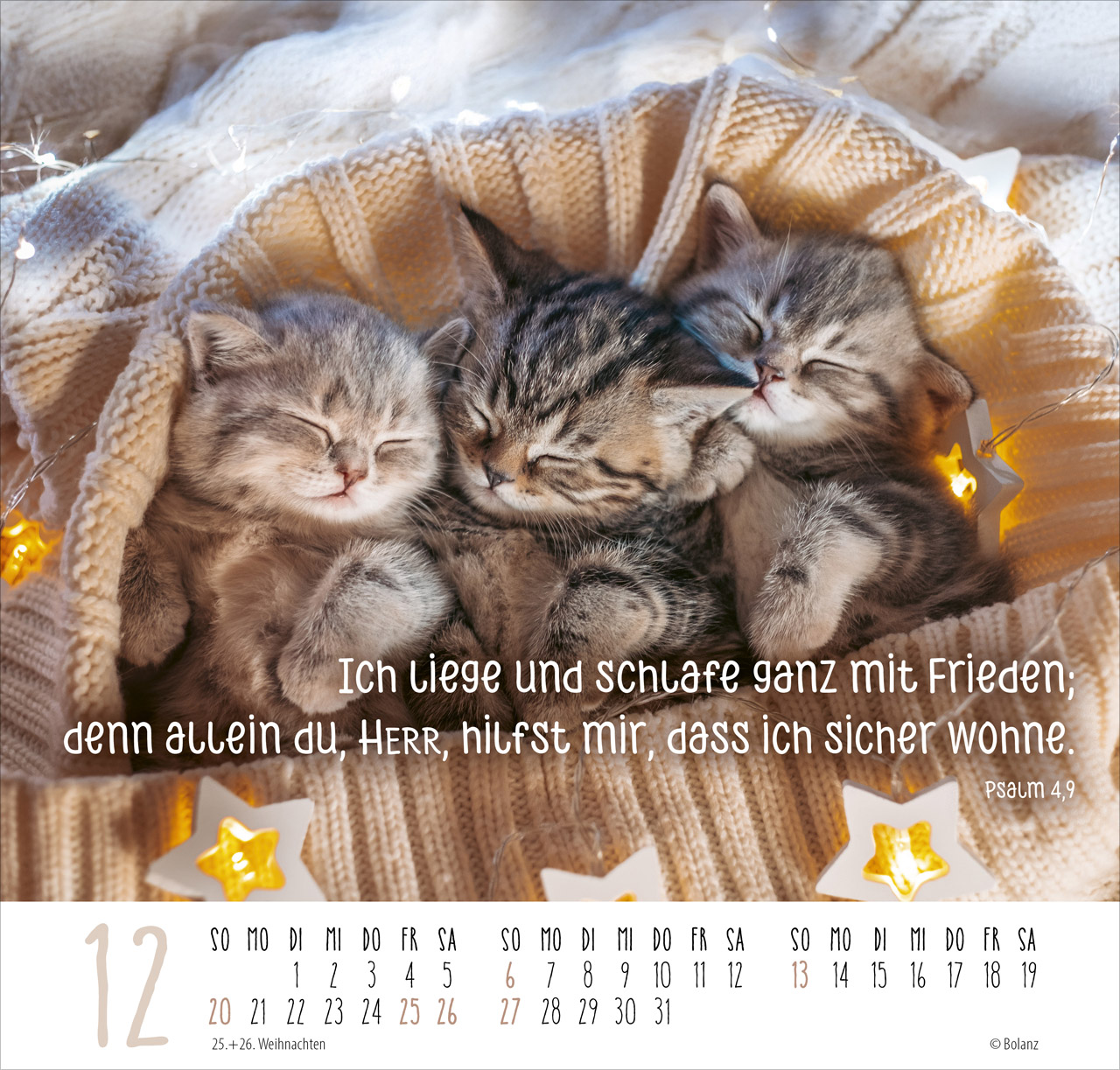 Beste Freunde - Ich mag dich 2026 - Posterkalender
