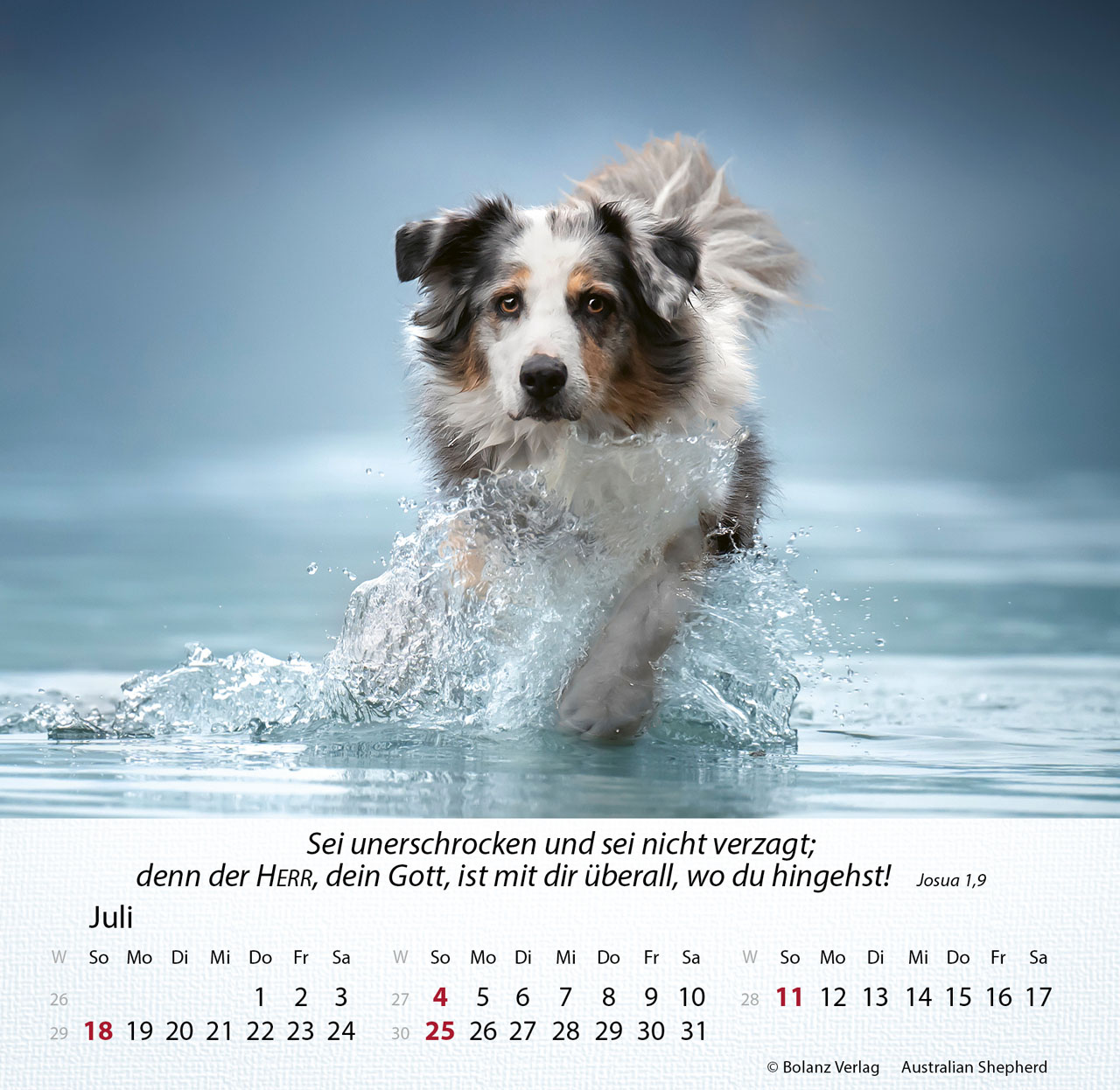 Hunde 2027 – Tischkalender