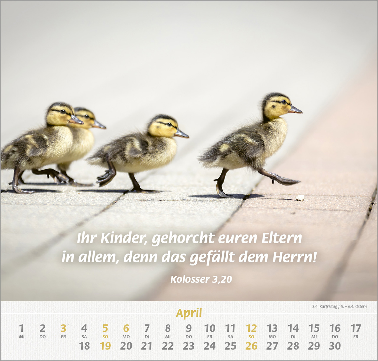 Ich hab dich gern Wandkalender 2026
