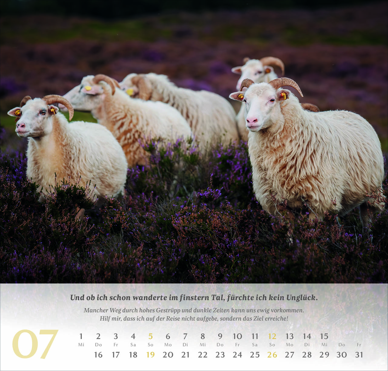 Psalm 23 Wandkalender 2026
