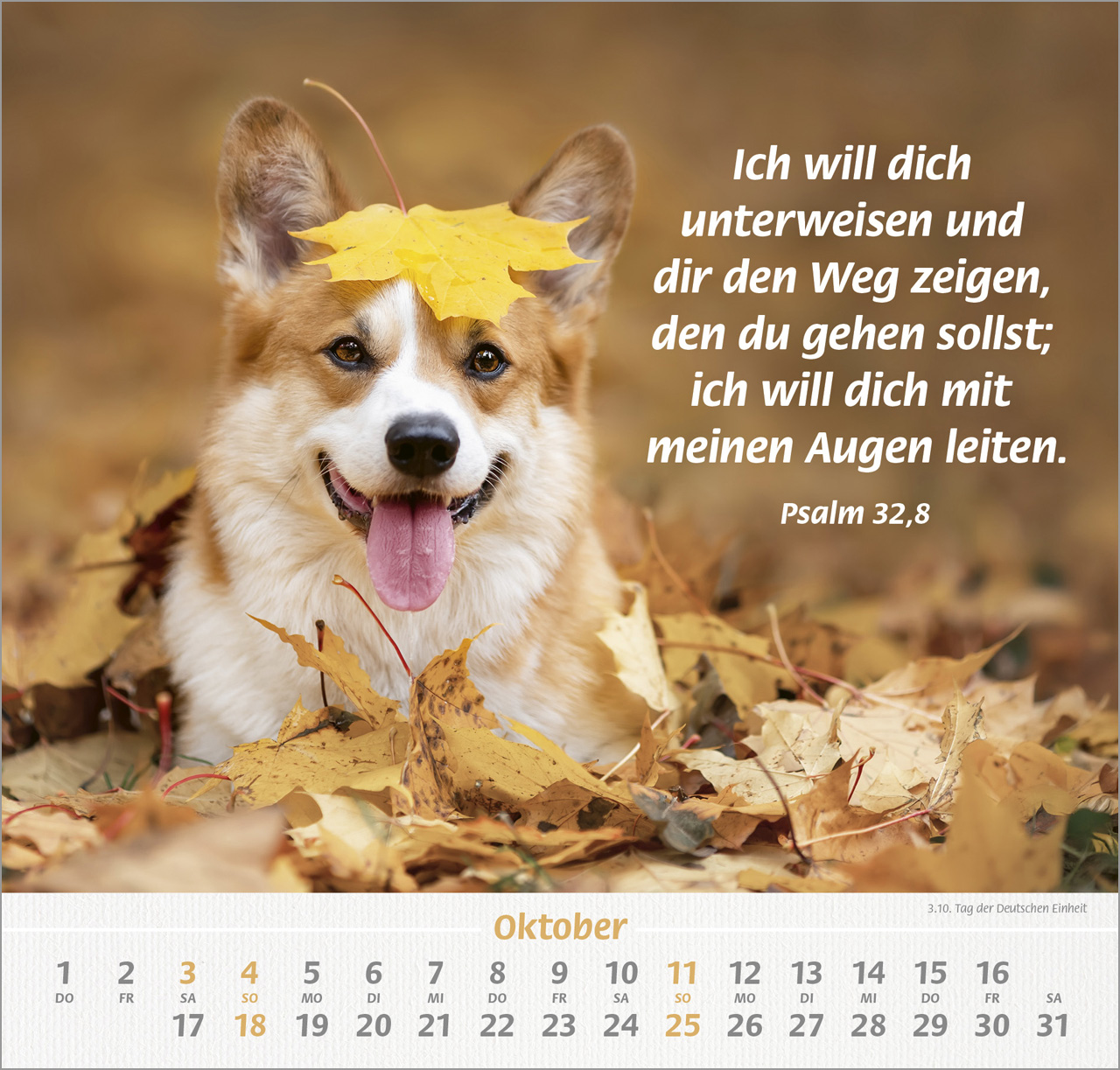 Ich hab dich gern Wandkalender 2026