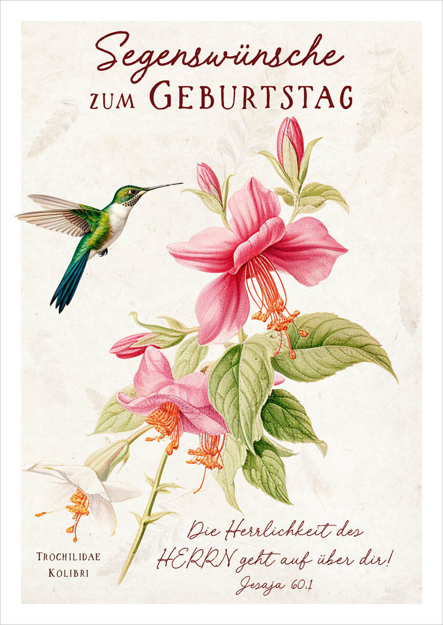 Postkarte farbenfroher Kolibri