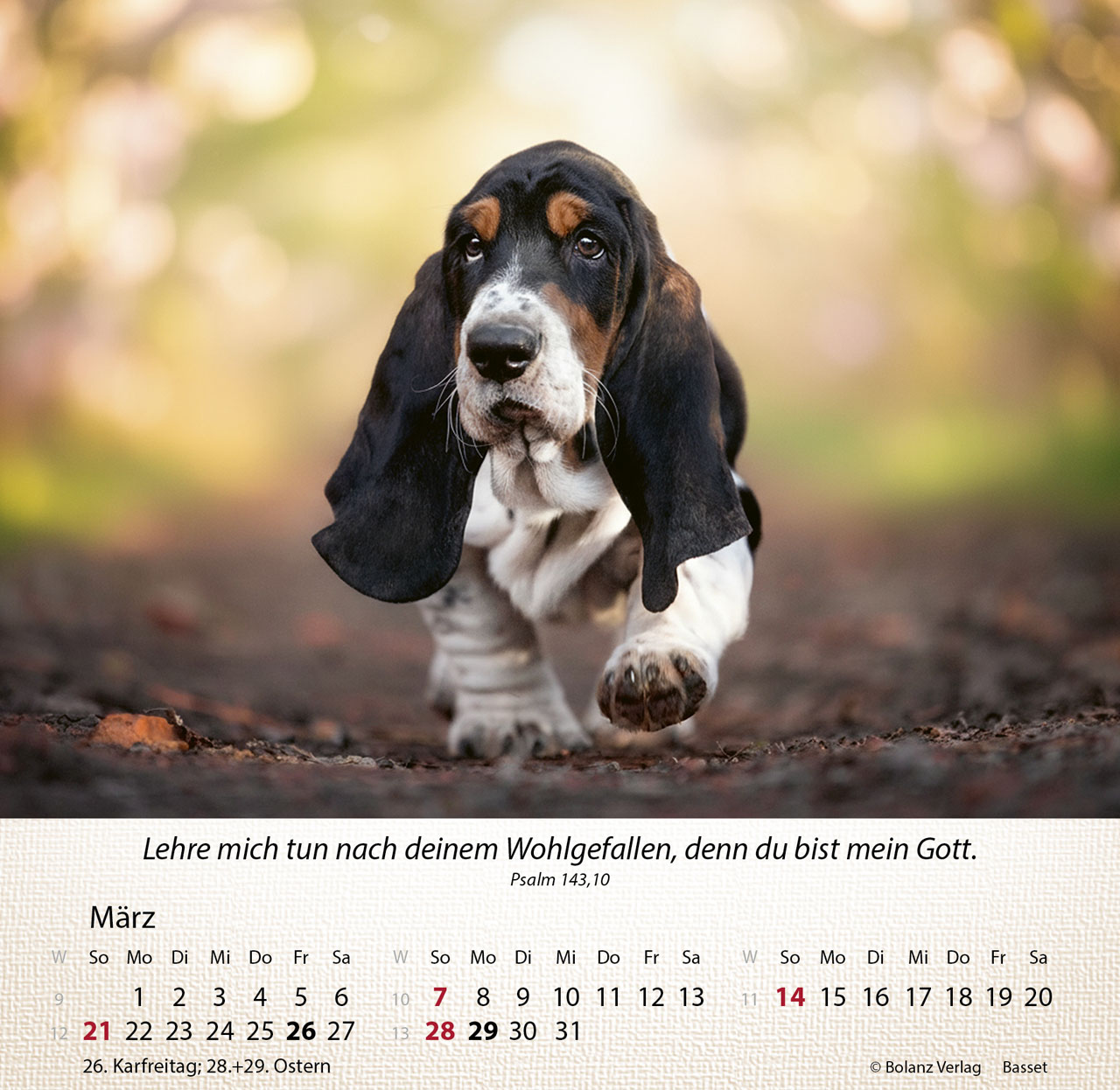 Hunde 2027 – Tischkalender