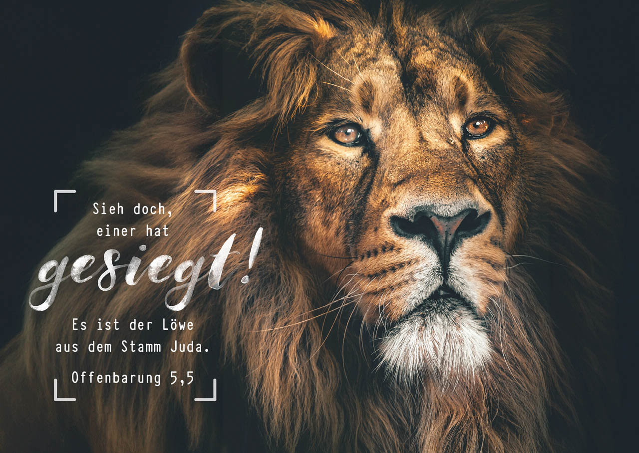 Postkarte majestätischer Löwe