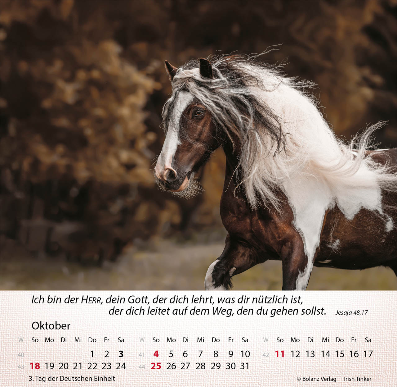 Pferde 2026 - Tischkalender