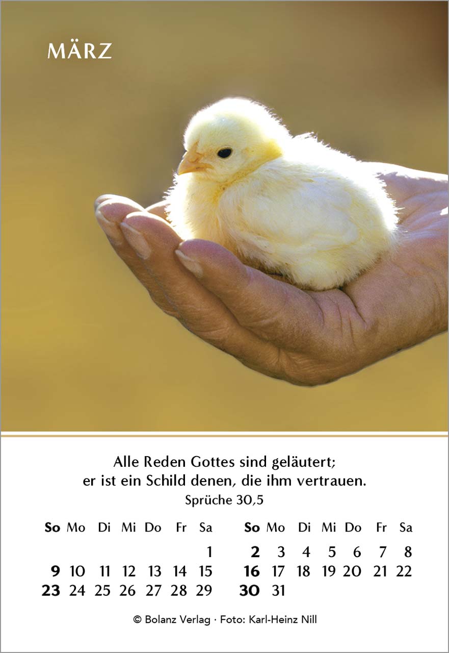 Ein Jahr der Freude Mini-Kalender