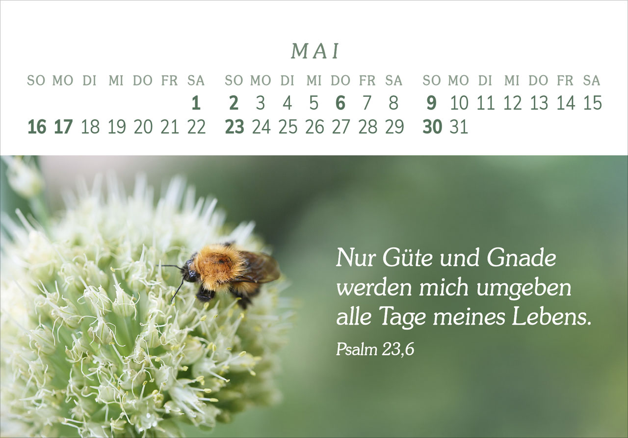 Das Geschenk der Freude 2027 – Panorama-Tischkalender