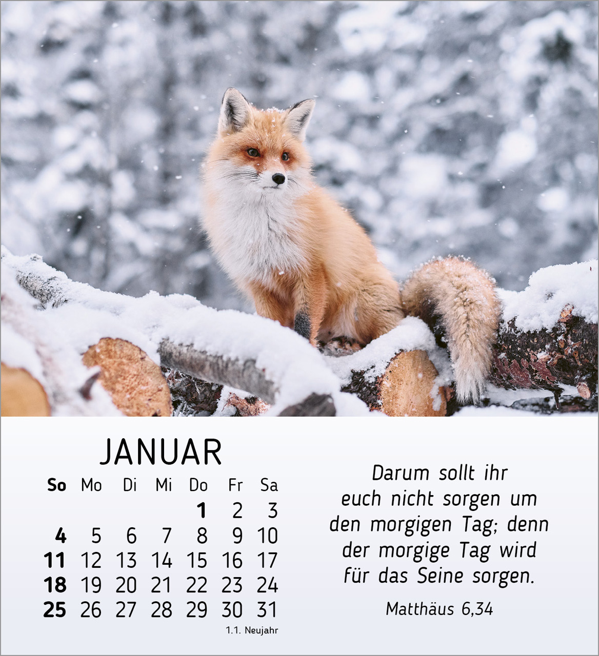 Stille Begegnungen Tischkalender 2026 Stille Begegnungen Tischkalender 2026
