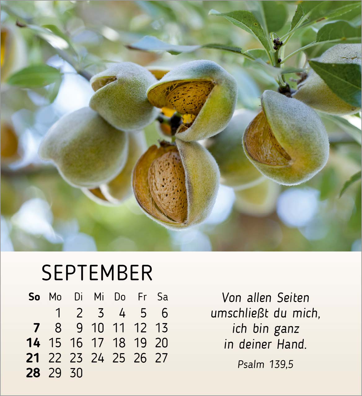 Stille Begegnungen Tischkalender