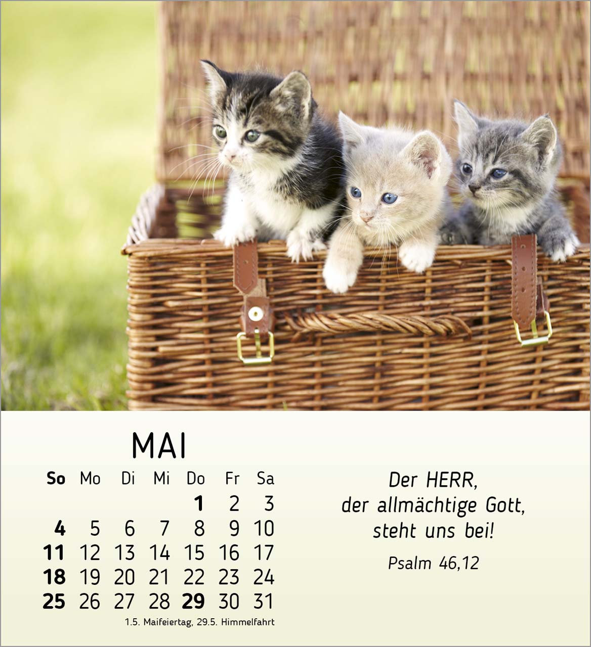 Meine kleinen Freunde 2025 - Tischkalender