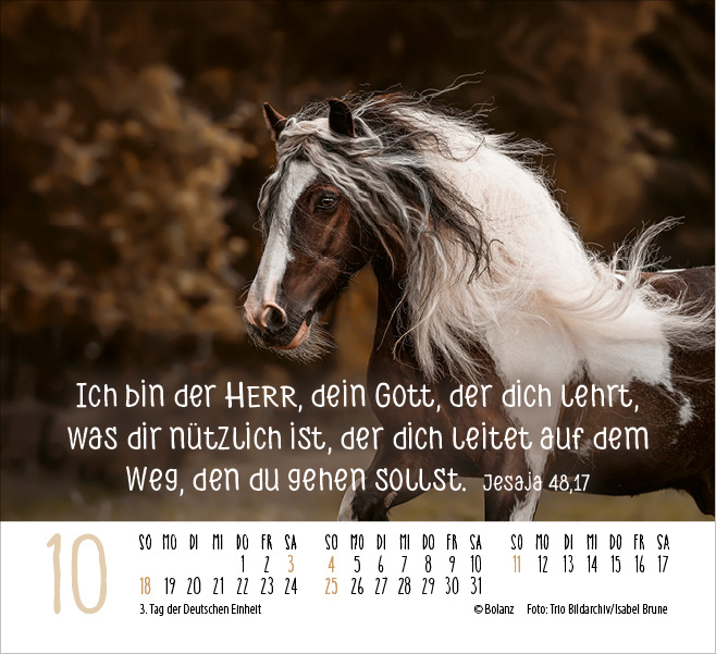 Pferde - elegante Schönheiten - Minikalender 2026 Pferde - elegante Schönheiten - Minikalender 2026