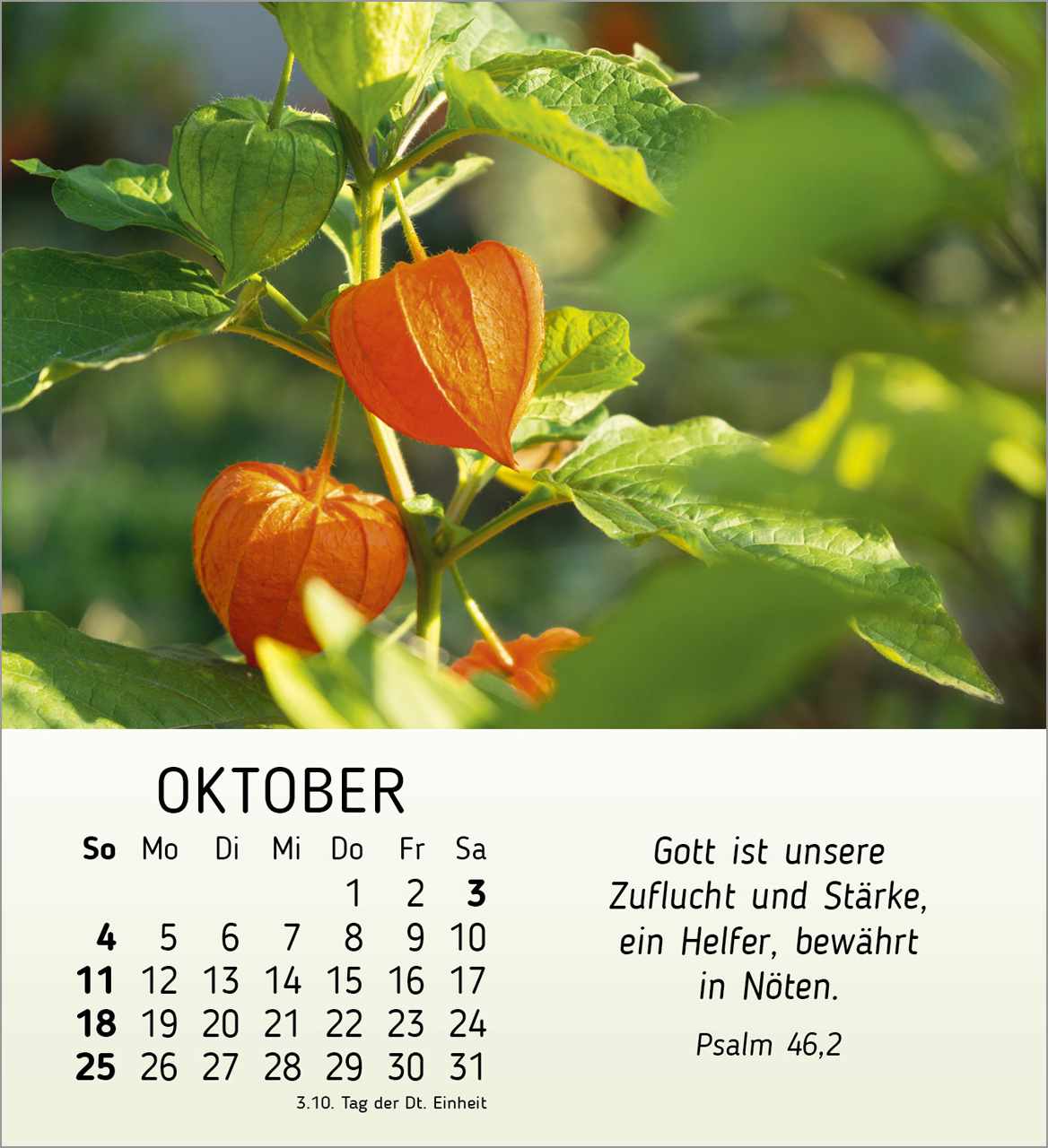 Stille Begegnungen Tischkalender 2026 Stille Begegnungen Tischkalender 2026