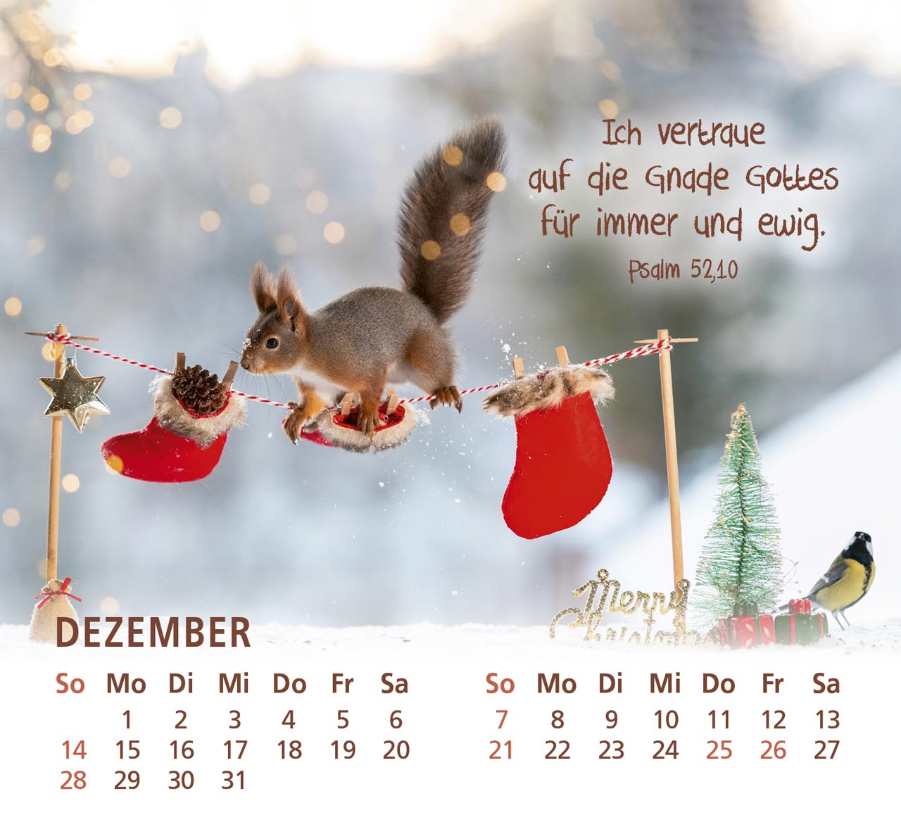 Du bist meine Freude - Eichhörnchen Kalender