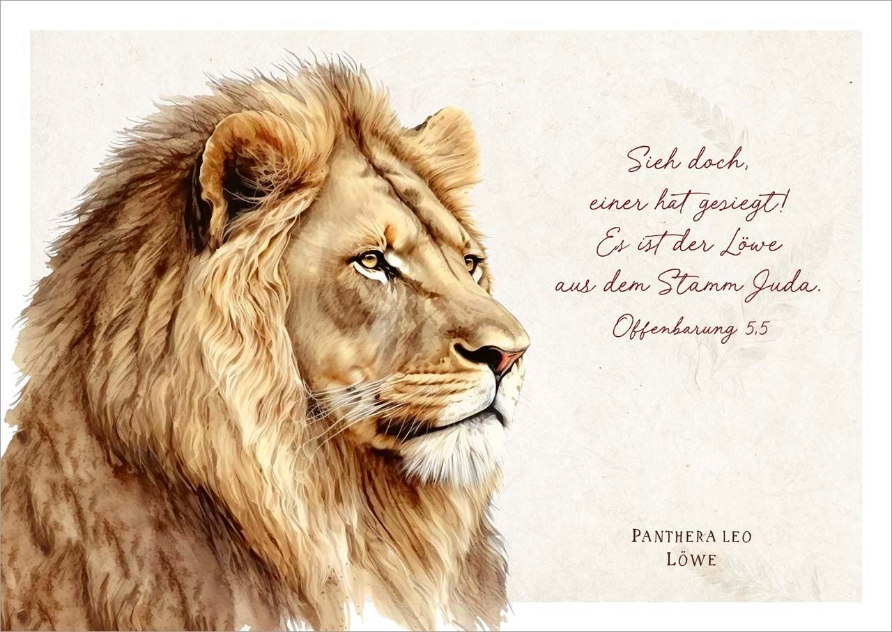 Postkarte Löwe - Zeichnung