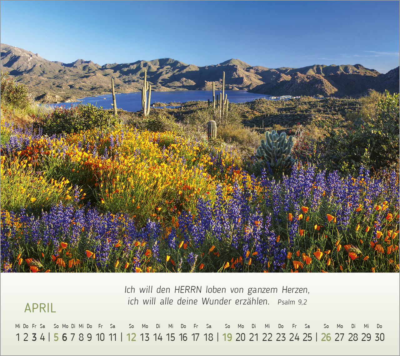 Foto-Träume - Tischkalender 2026 Foto-Träume - Tischkalender 2026