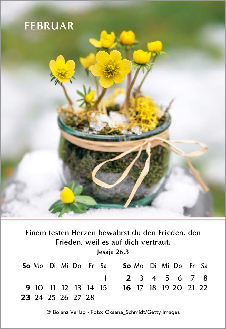 Ein Jahr der Freude Mini-Kalender