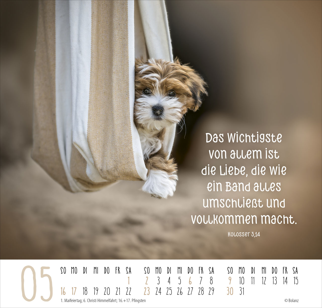 Beste Freunde – Ich mag dich 2027 – Posterkalender