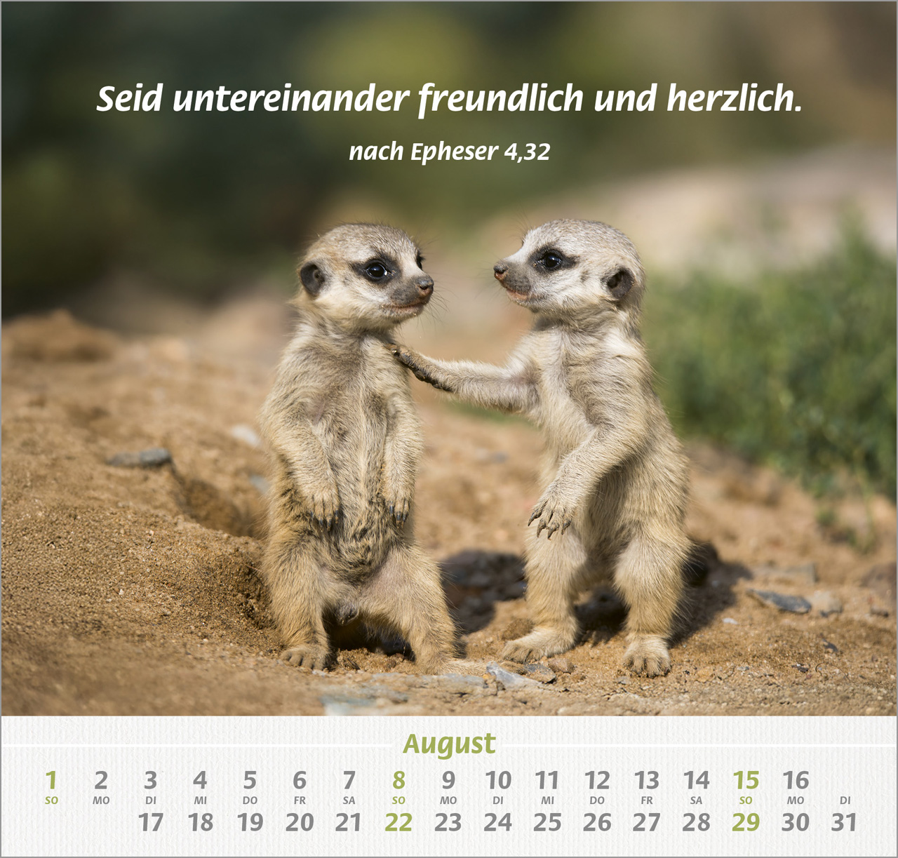 Ich hab dich gern 2027 – Wandkalender