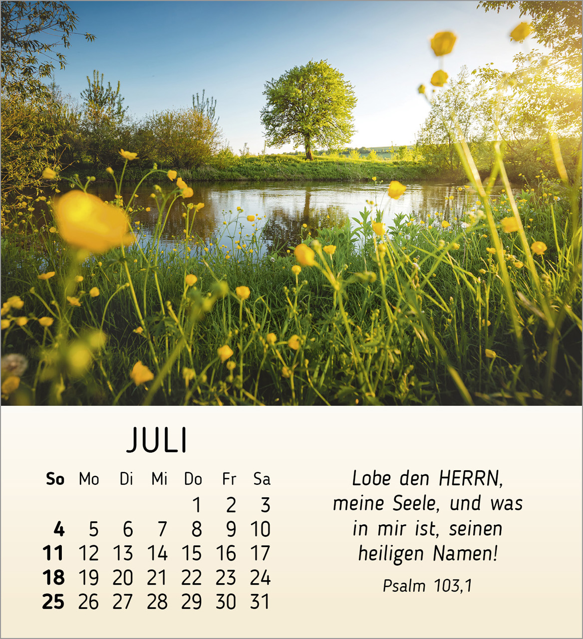 Schönheit des Lichts 2027 – Tischkalender