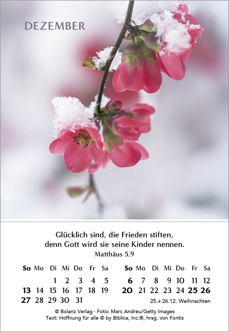 Ein Jahr der Freude Mini-Kalender 2026