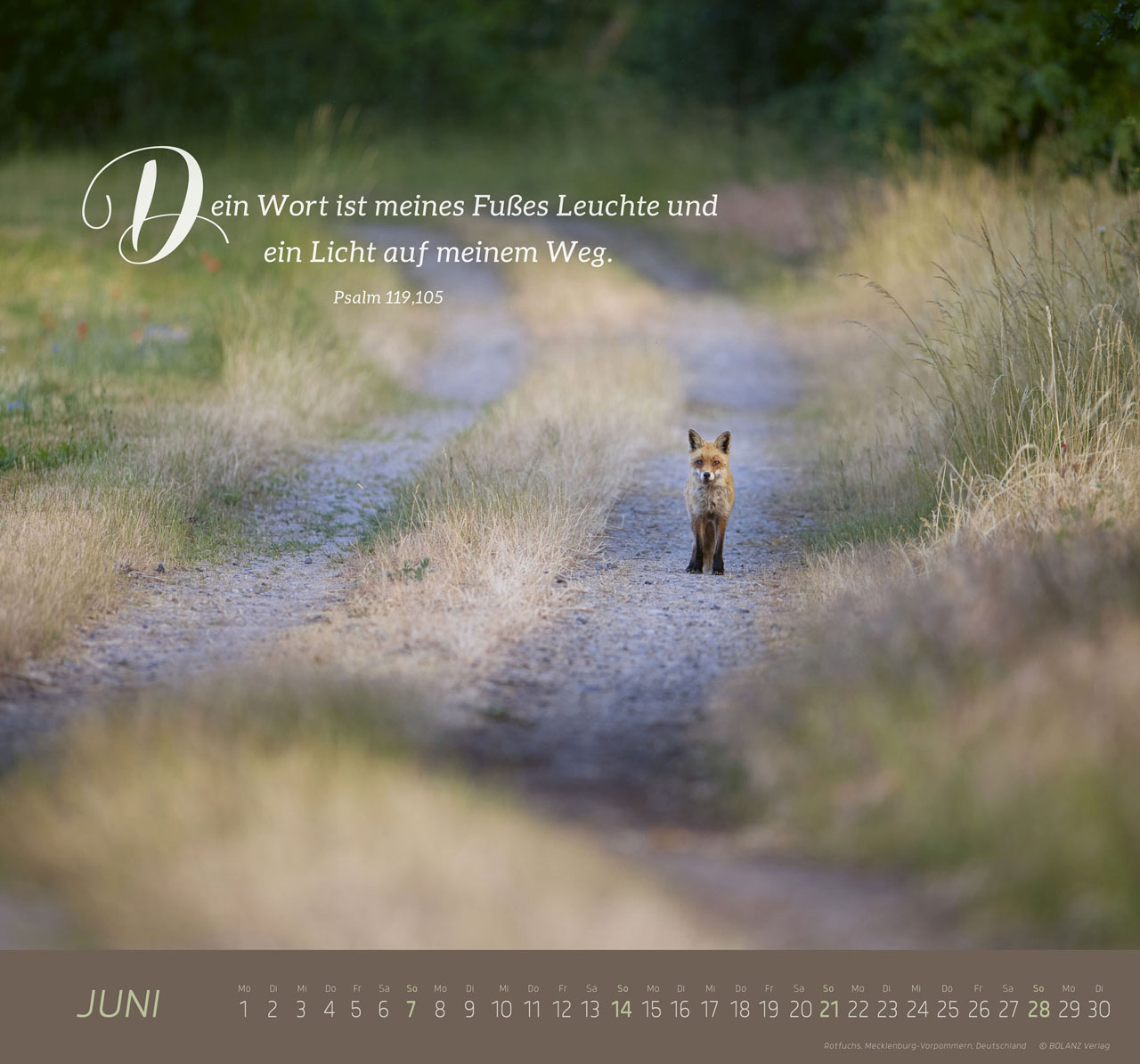 Ich bin der Weg 2026 - Wandkalender