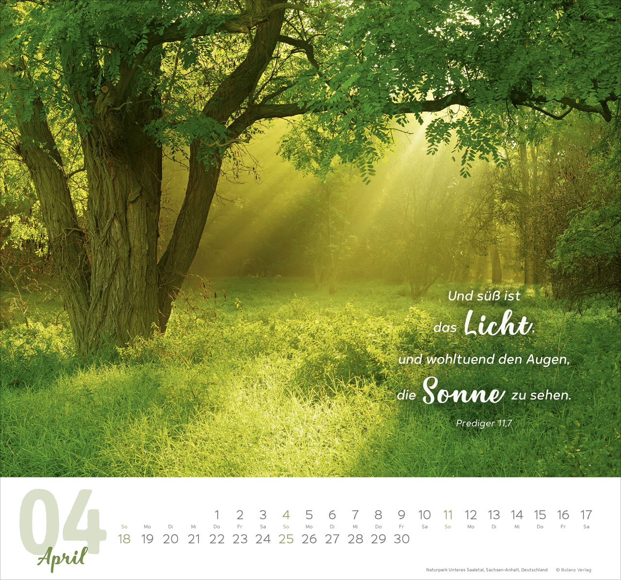 Meine Zeit 2027 – Wandkalender