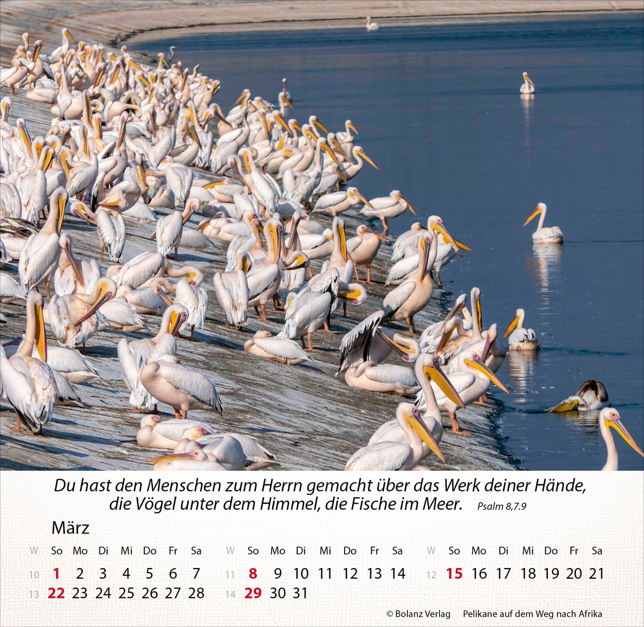 Israel Shalom 2026 - Tischkalender Israel Shalom 2026 - Tischkalender