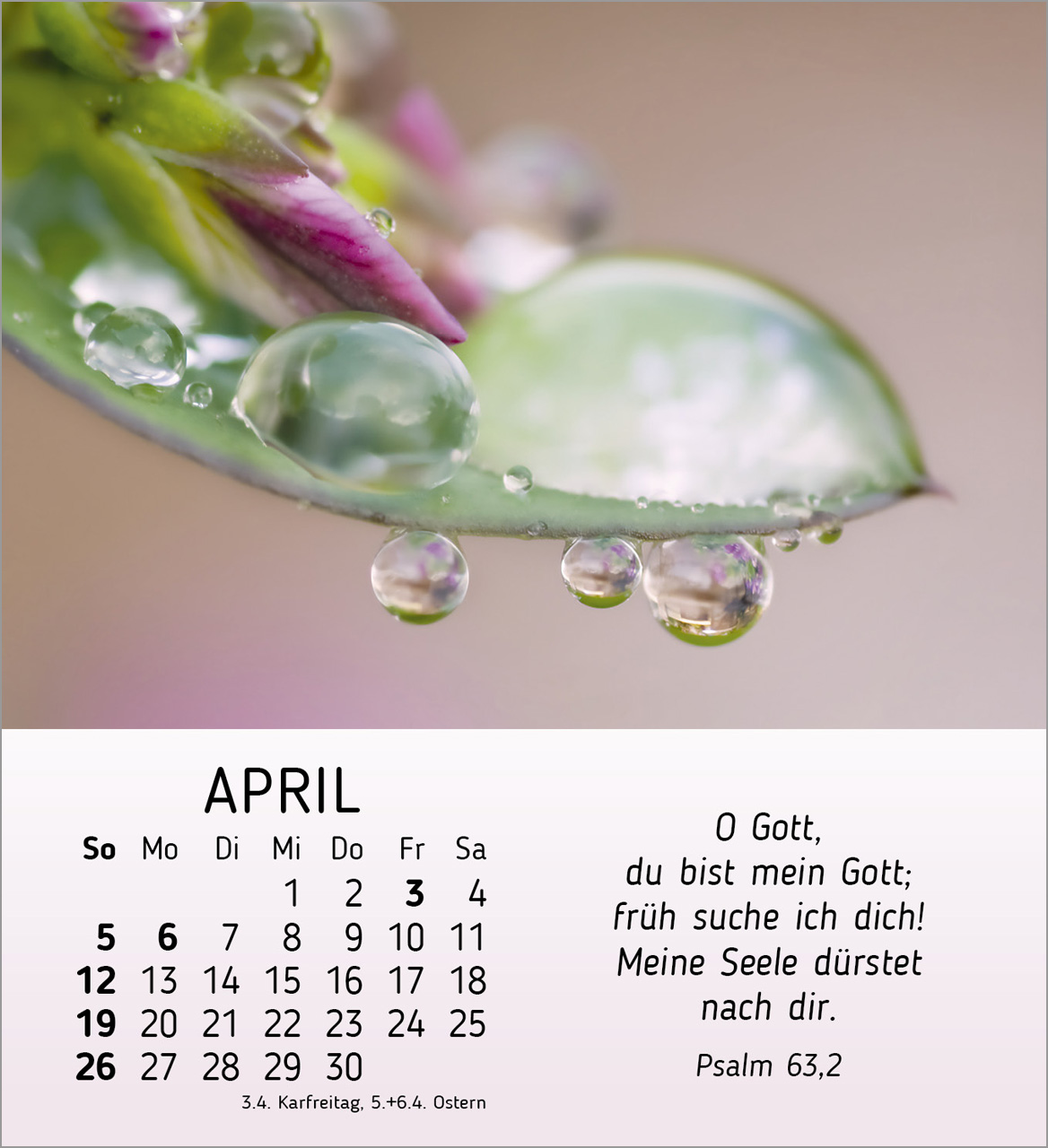Stille Begegnungen Tischkalender 2026 Stille Begegnungen Tischkalender 2026