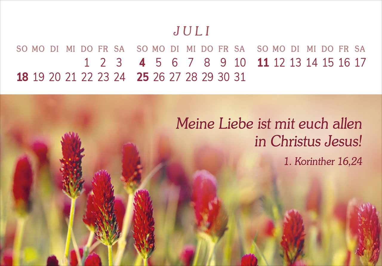 Das Geschenk der Freude 2027 – Panorama-Tischkalender