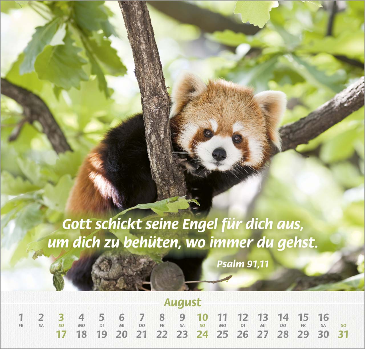 Ich hab dich gern Wandkalender