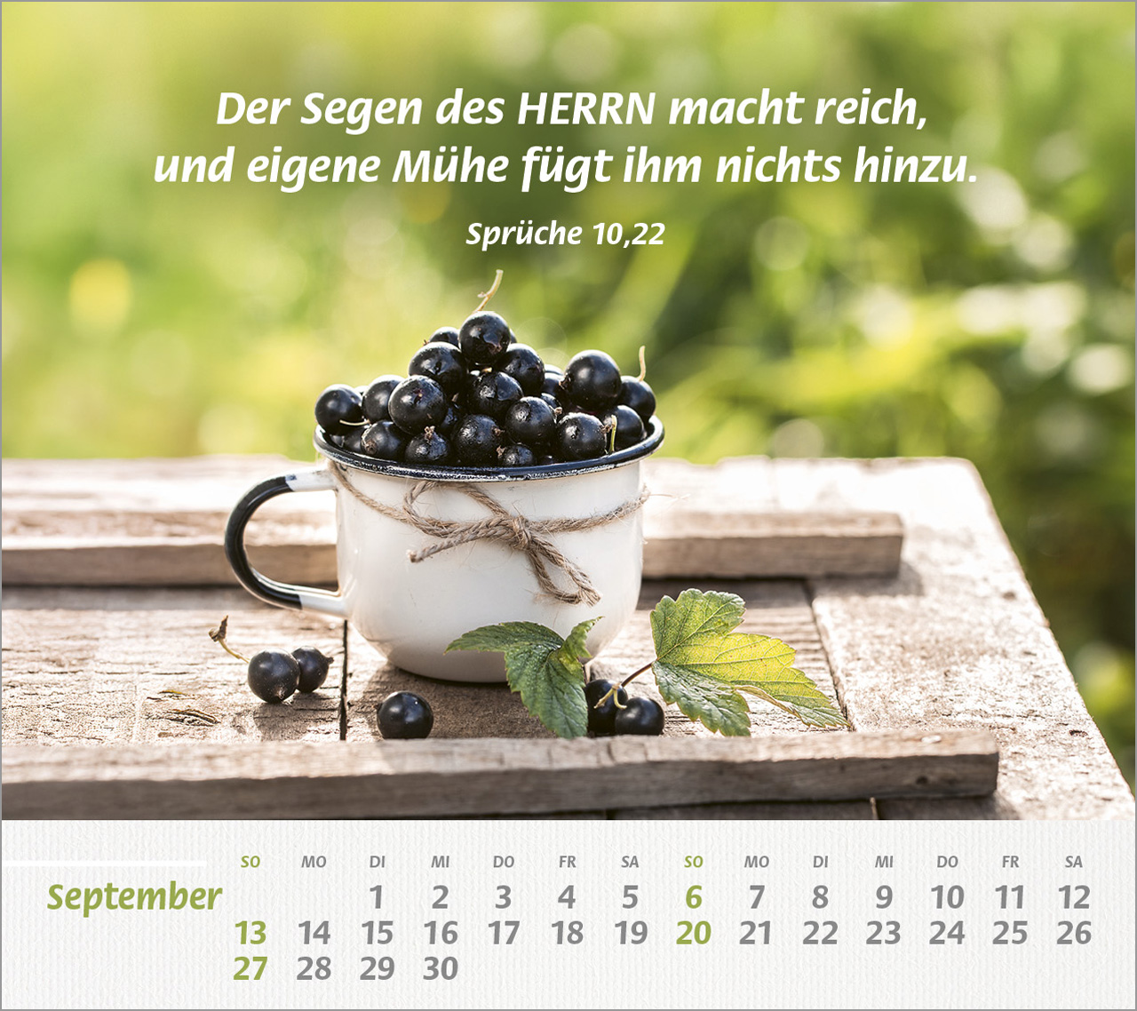 Du bist meine Stärke Großdruck-Tischkalender 2026