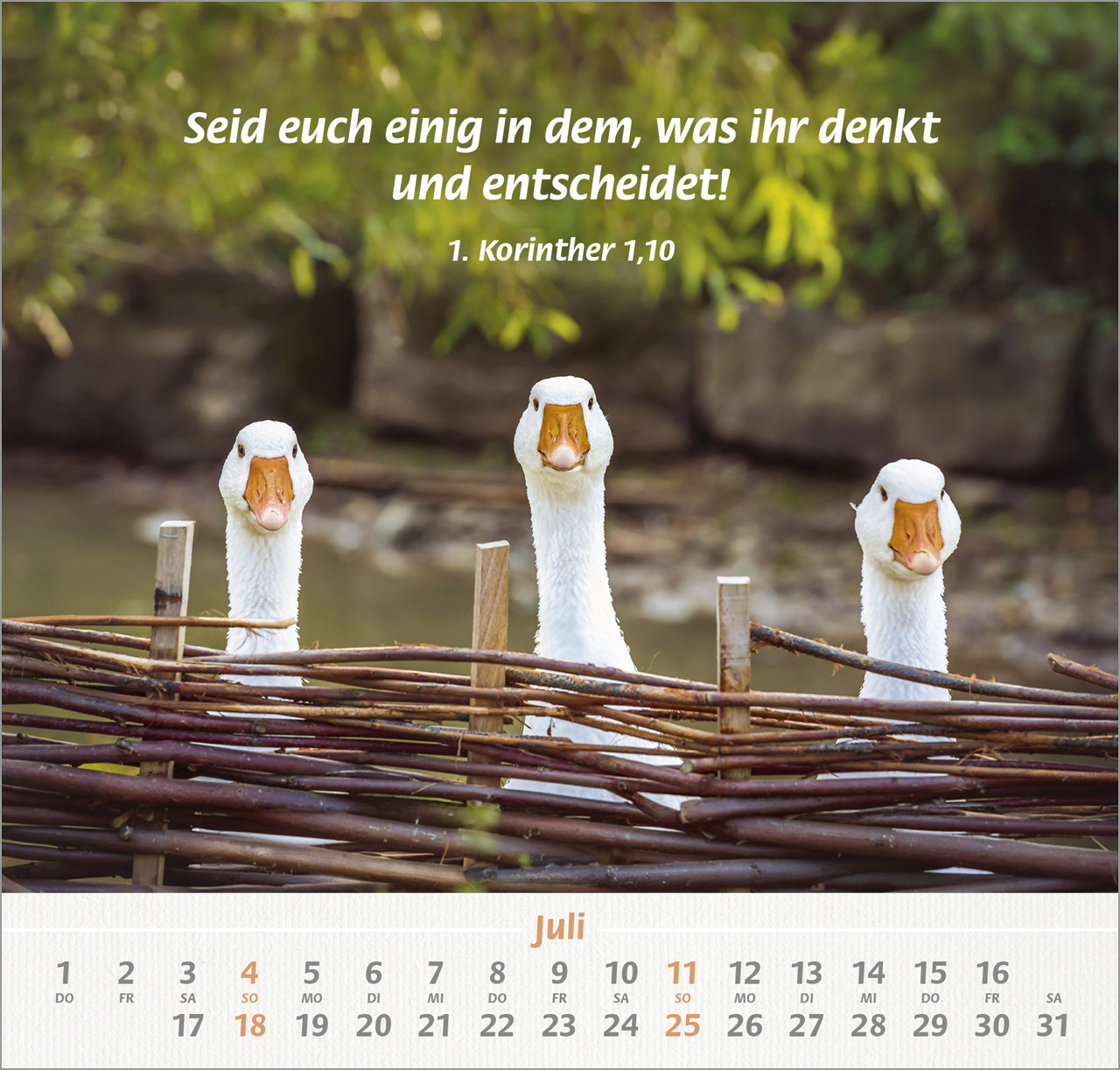 Ich hab dich gern 2027 – Wandkalender