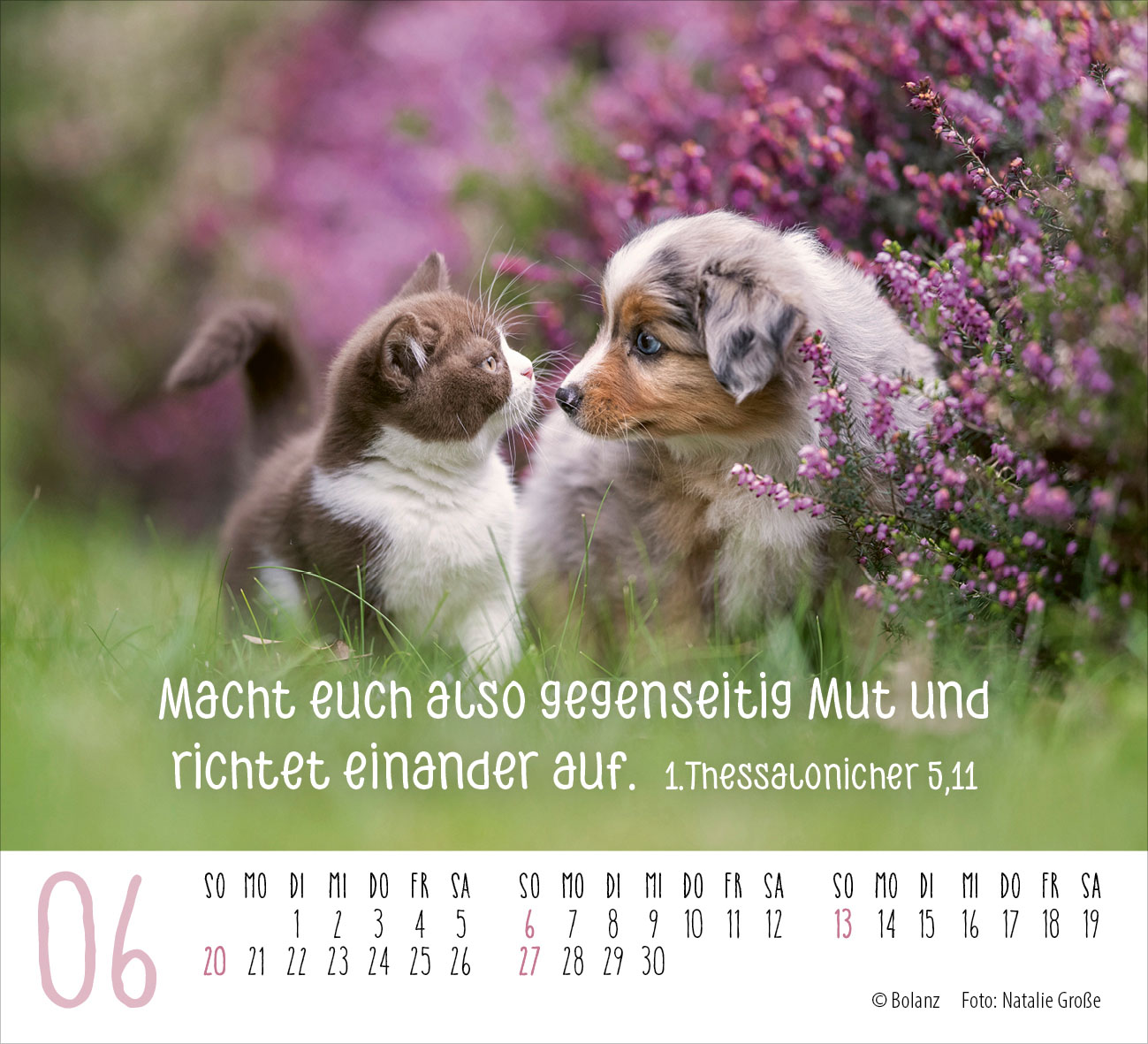 Begegnungen – dich vergess ich nie 2027 – Minikalender