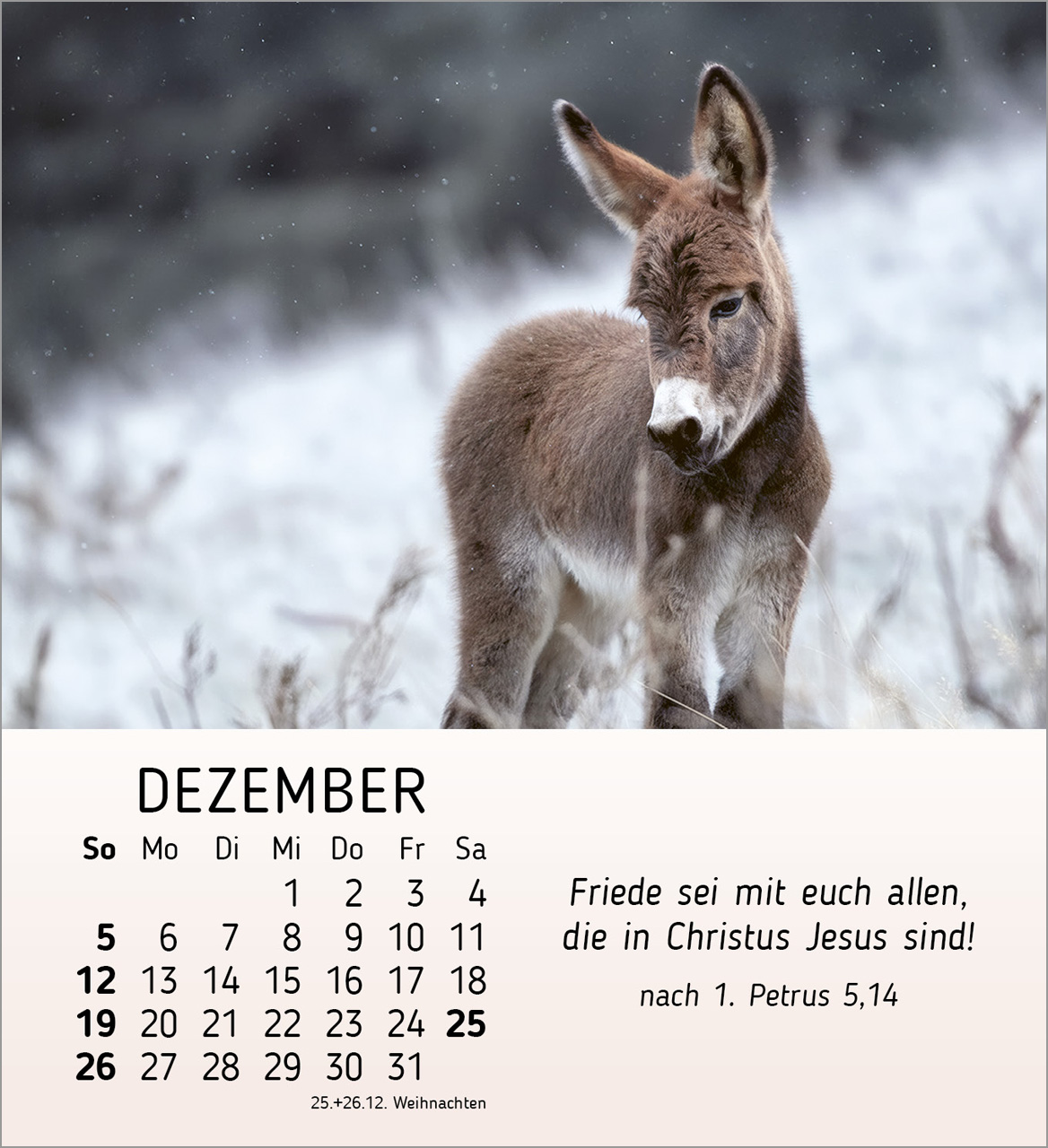 Meine kleinen Freunde 2027 – Tischkalender