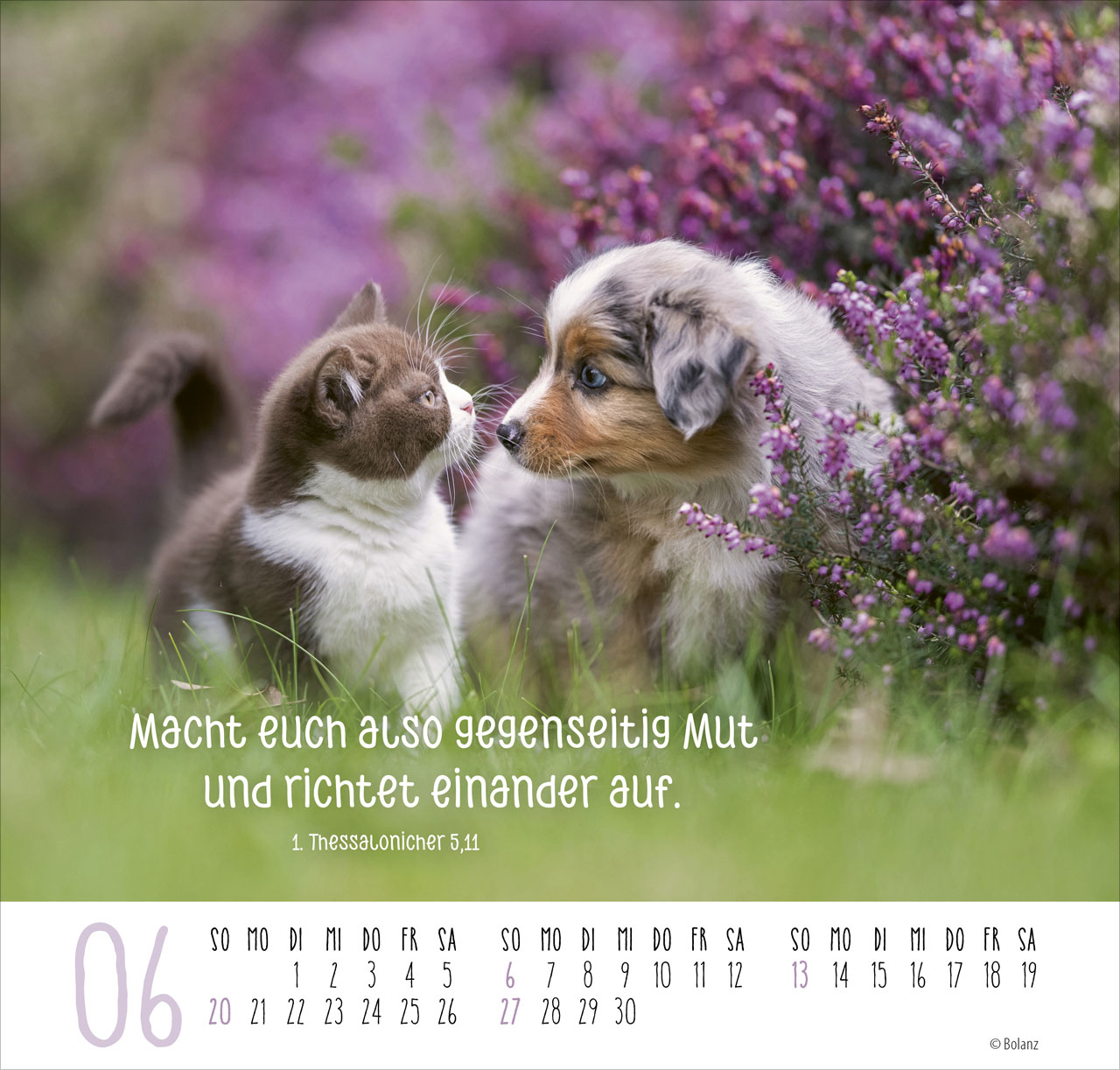 Beste Freunde – Ich mag dich 2027 – Posterkalender