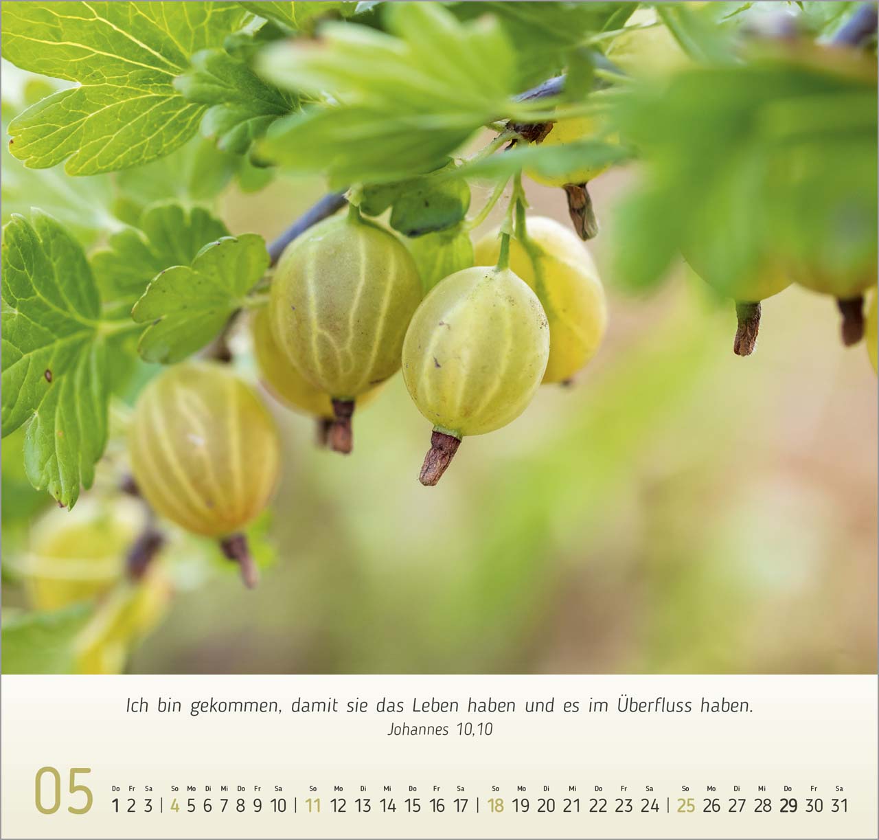 Gesichter der Natur Wandkalender