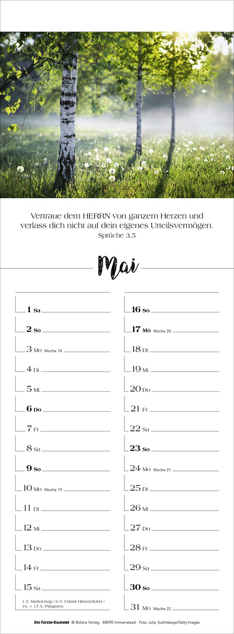 Denk dran 2027 – Streifenterminkalender
