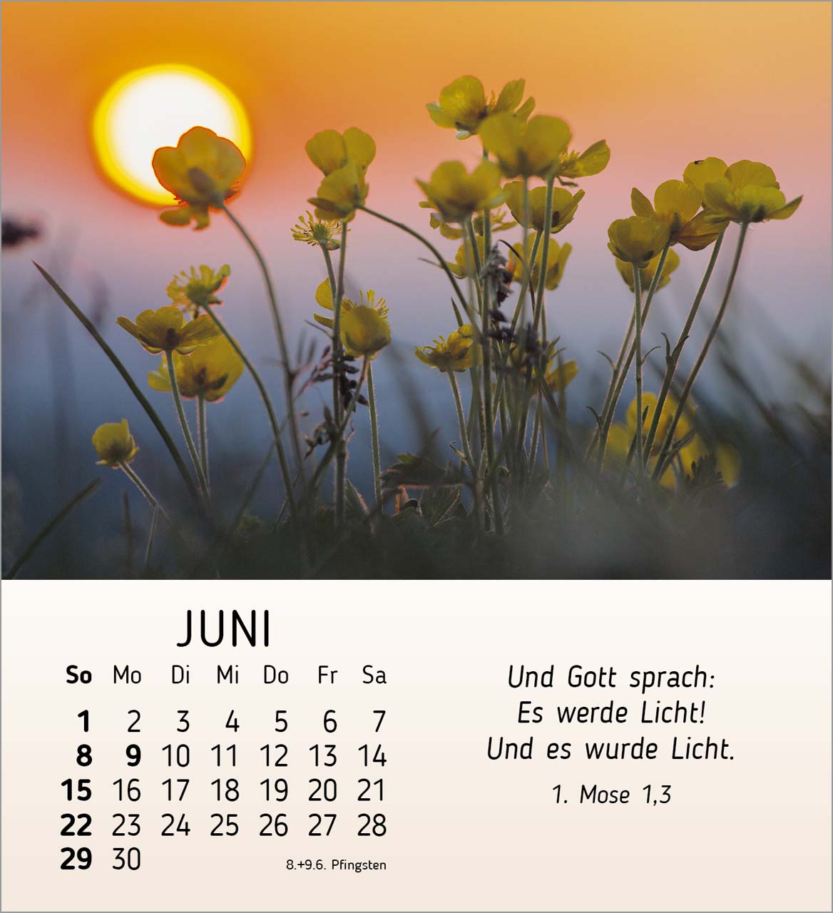 Schönheit des Lichts Tischkalender