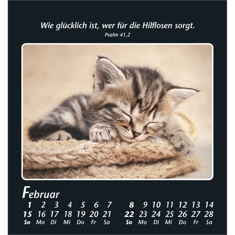 Zeit der Stille 2026