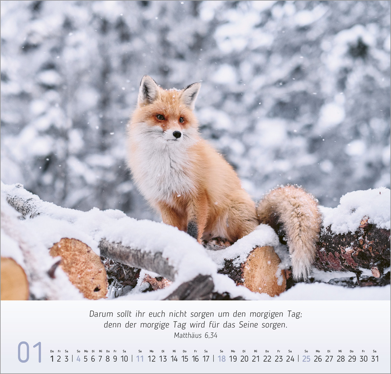 Gesichter der Natur Wandkalender 2026