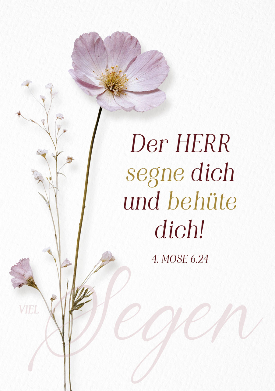 Faltkarte Der Herr segne dich