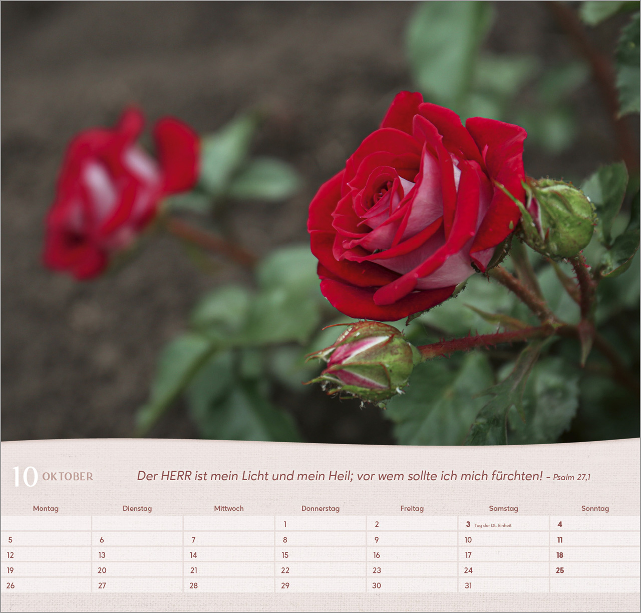 Rosen Wandkalender 2026